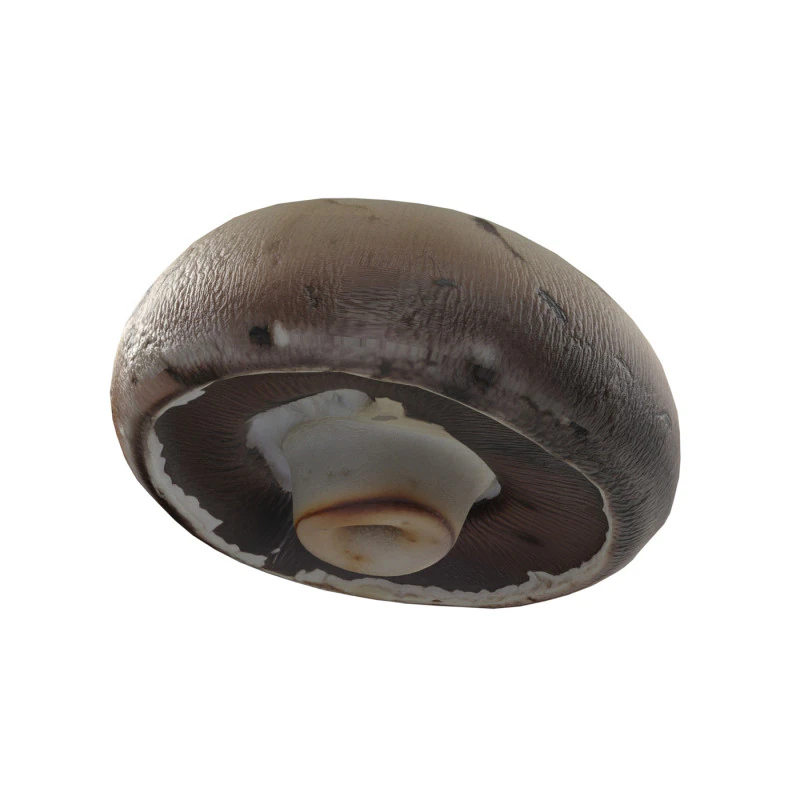Mushroom 9 3D Model .c4d .max .obj .3ds .fbx .stl .blend