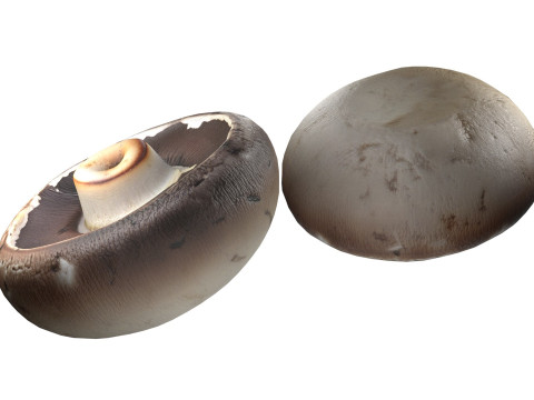 Mushroom 9 3D Model