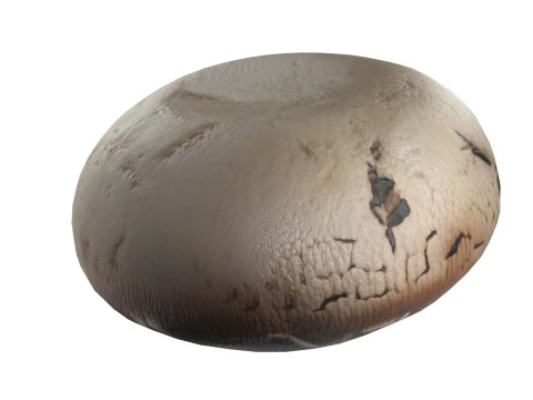 Mushroom 9 3D Model