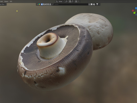 Mushroom 9 3D Model