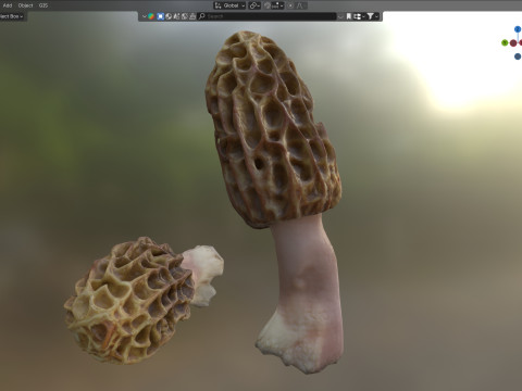 Mushroom 10 3D Model