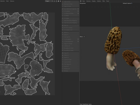 Mushroom 10 3D Model