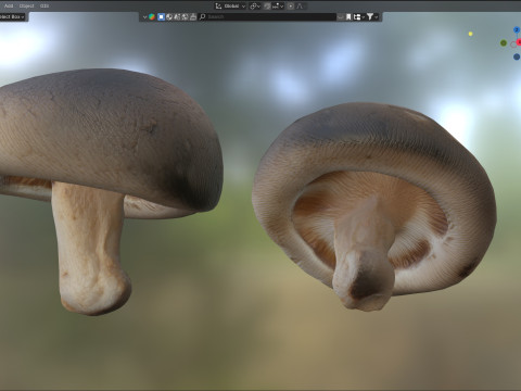 Mushroom 11 3D 모델