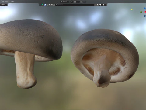 버섯 11 3D 모델