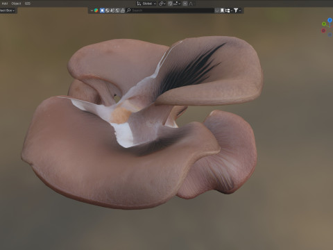 Mushroom 12 Modelo 3D
