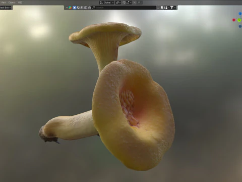 Cogumelo 13 Modelo 3D