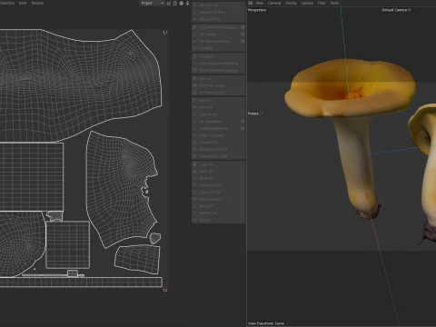 Cogumelo 13 Modelo 3D