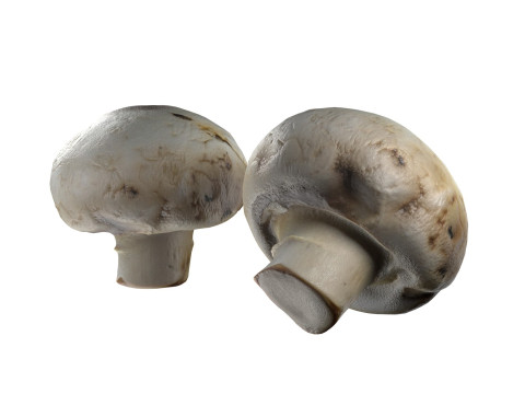 Mushroom 15 Modello 3D