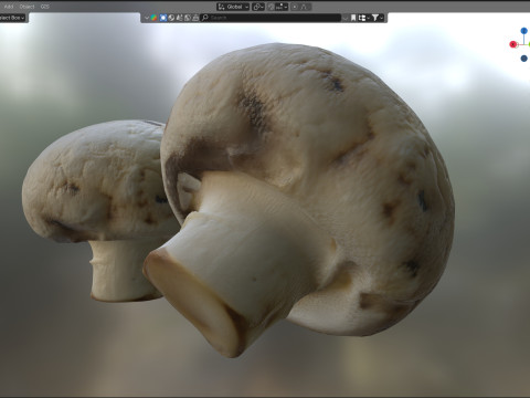 Mushroom 15 Modello 3D