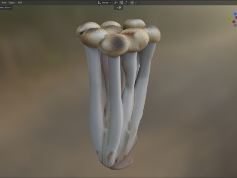 Mushroom 16 Modèle 3D