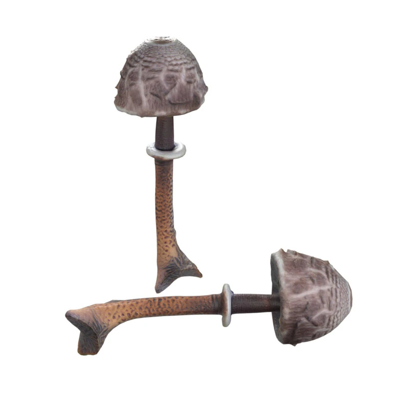 Mushroom 17 3D Model .c4d .max .obj .3ds .fbx .stl .blend 