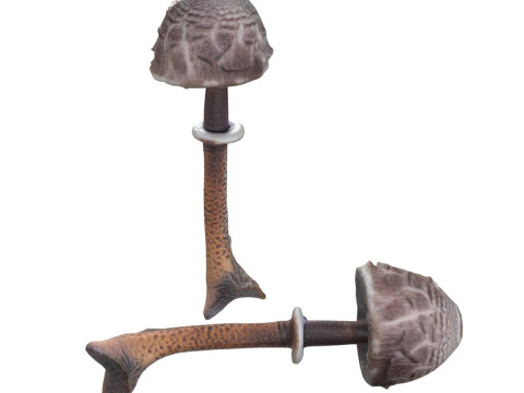 Mushroom 17 Model 3D