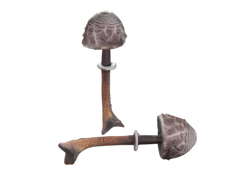 Mushroom 17 3D Модель