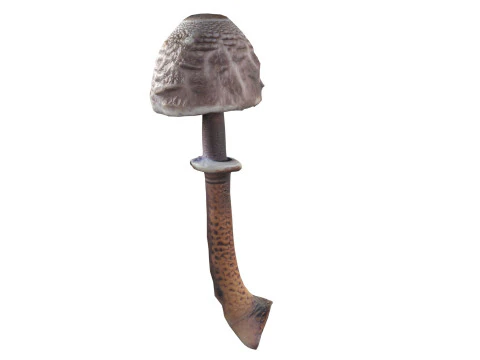 Mushroom 17 3D Model