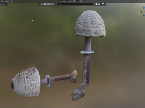 Mushroom 17 3D Модель