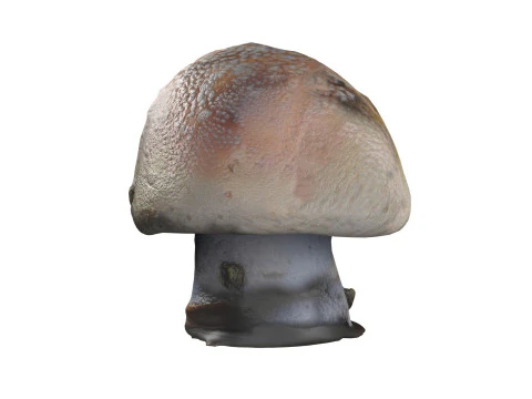 Cogumelo 18 Modelo 3D