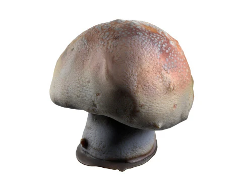 Cogumelo 18 Modelo 3D