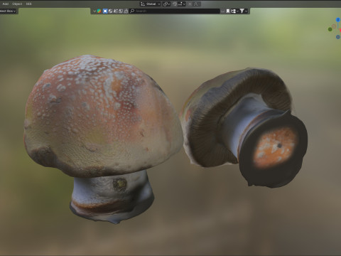 Mushroom 18 3D Модель