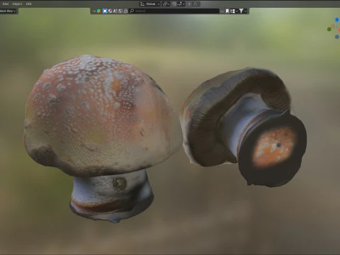 Cogumelo 18 Modelo 3D