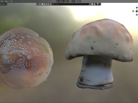 Cogumelo 18 Modelo 3D