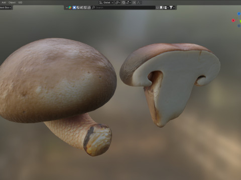 Mushroom 19 Model 3D