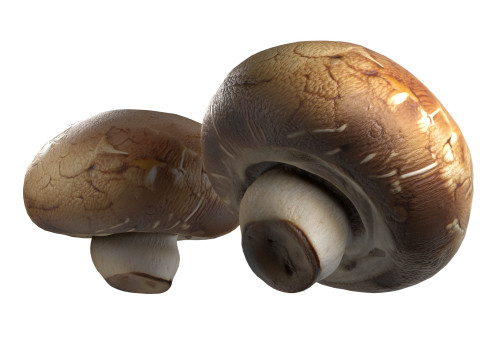 Mushroom 20 3Dモデル