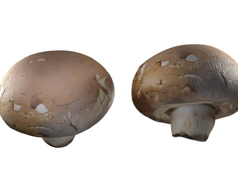 Cogumelo 20 Modelo 3D