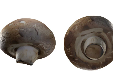 Cogumelo 20 Modelo 3D