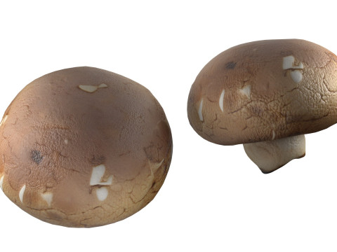 Mushroom 20 3Dモデル