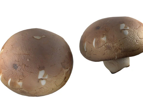 Cogumelo 20 Modelo 3D