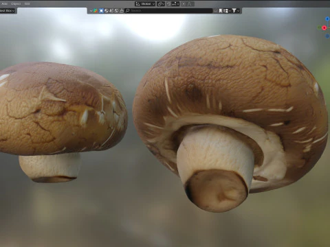 Cogumelo 20 Modelo 3D