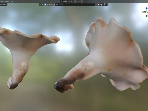 Mushroom 21 3D Model