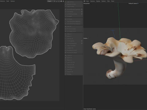Mushroom 21 3D Model