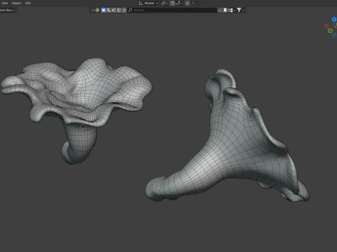 Mushroom 21 3D Model
