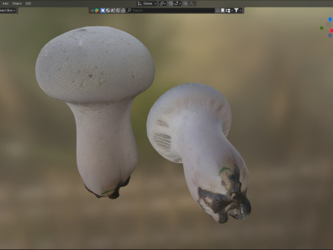 Mushroom 22 Model 3D