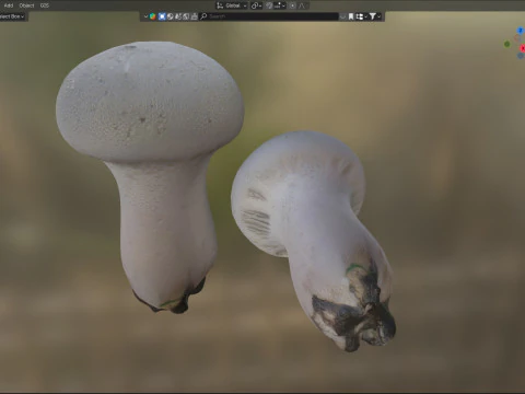 Cogumelo 22 Modelo 3D