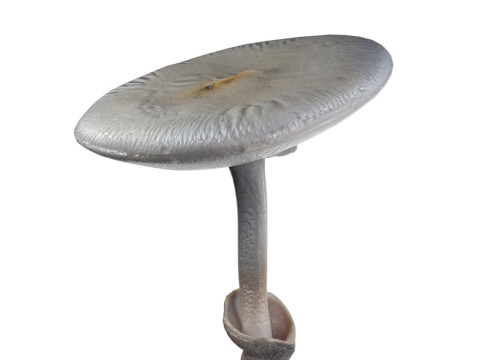 Mushroom 23 Model 3D