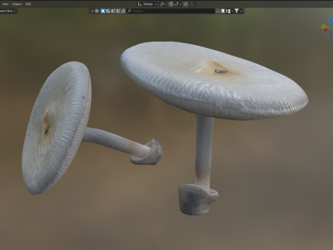 Mushroom 23 3D-Modell