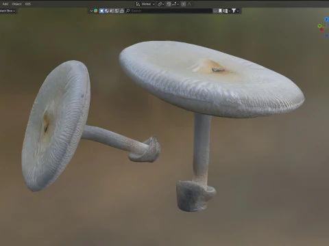 Mushroom 23 3D Model
