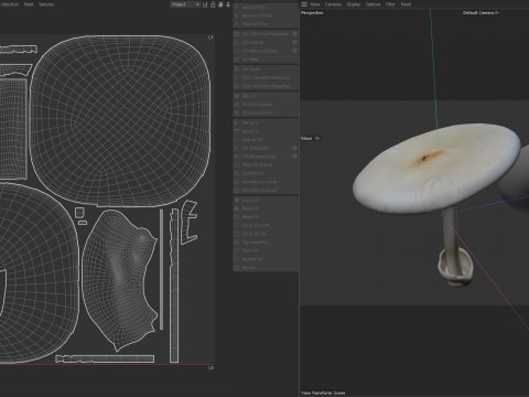 Mushroom 23 3D-Modell