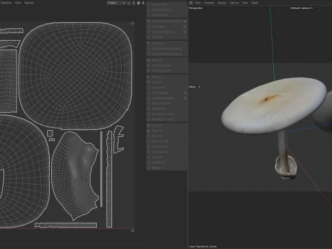 Mushroom 23 3D Model