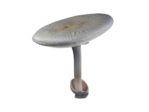 Mushrooms Collection Modelo 3D