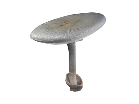 キノココレクション 3Dモデル