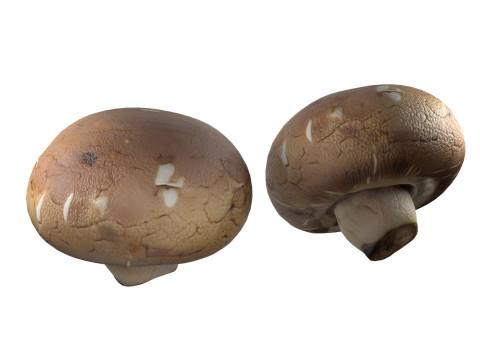 Mushrooms Collection Modelo 3D