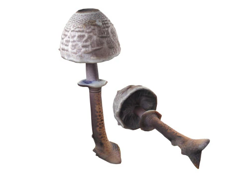 キノココレクション 3Dモデル