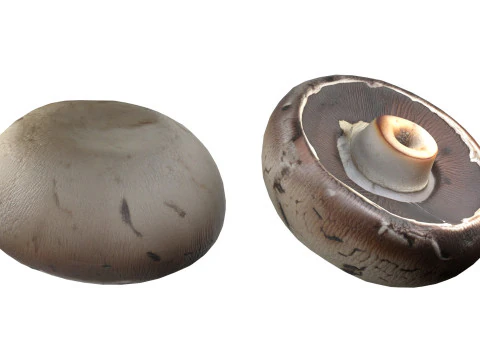 キノココレクション 3Dモデル