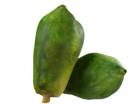 Papaya full Modelo 3D