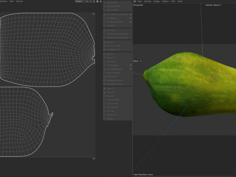 Papaya full Modelo 3D