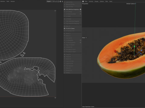 Papaya half Modelo 3D