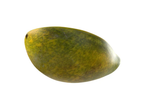 Papaya Fruit Half and full 3D Model